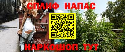 прущие грибы Рузаевка