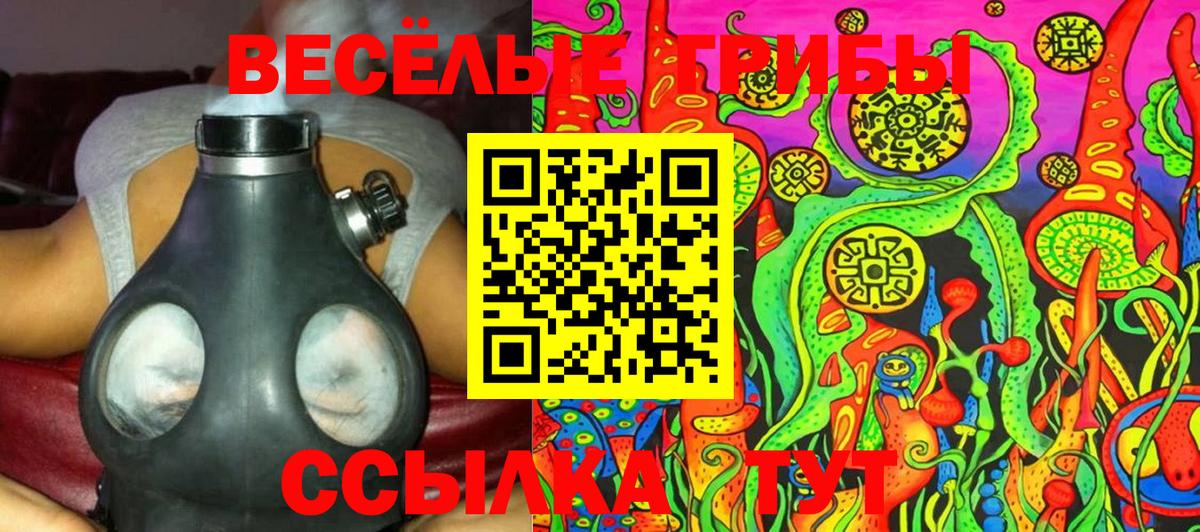 Галлюциногенные грибы Psilocybe  Вход с VPN  закладки  Саранск 